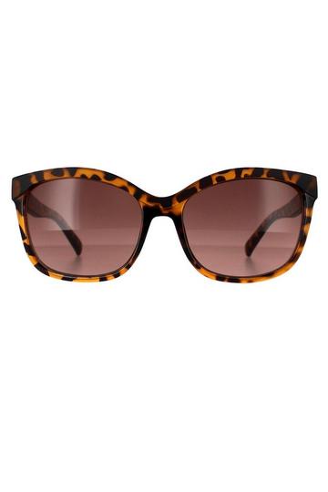 Cat Eye Dark Havana Brown Gradient GF0300 Brown