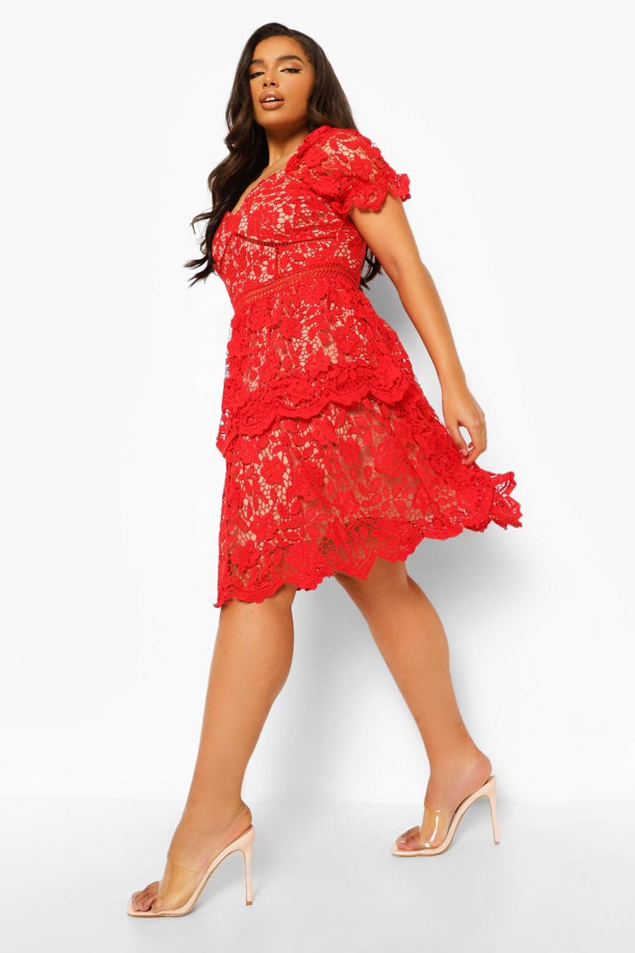 Red röd Plus Premium Lace Tiered Skater Dress