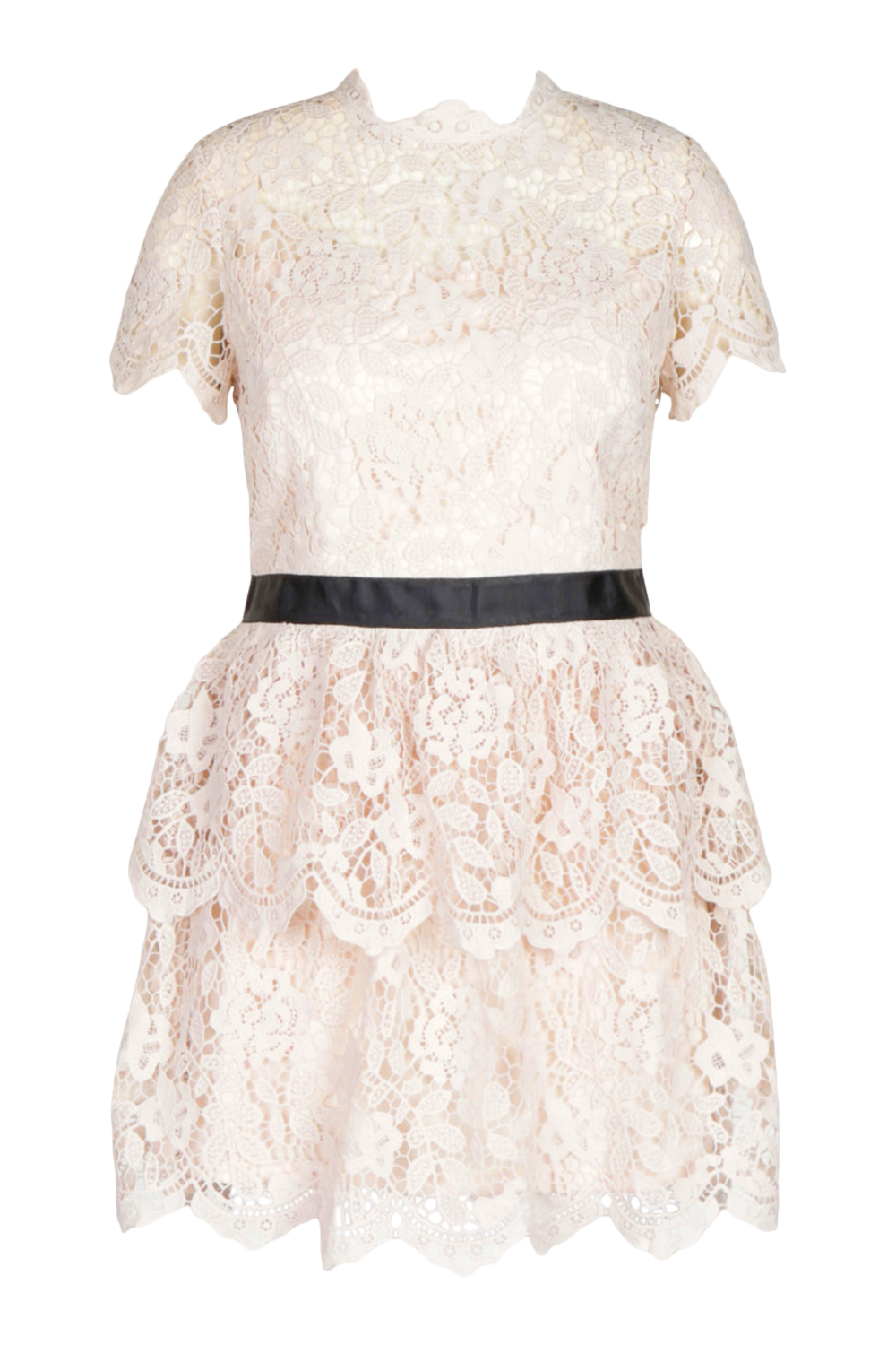 Plus Occasion Lace Tiered Skater Dress