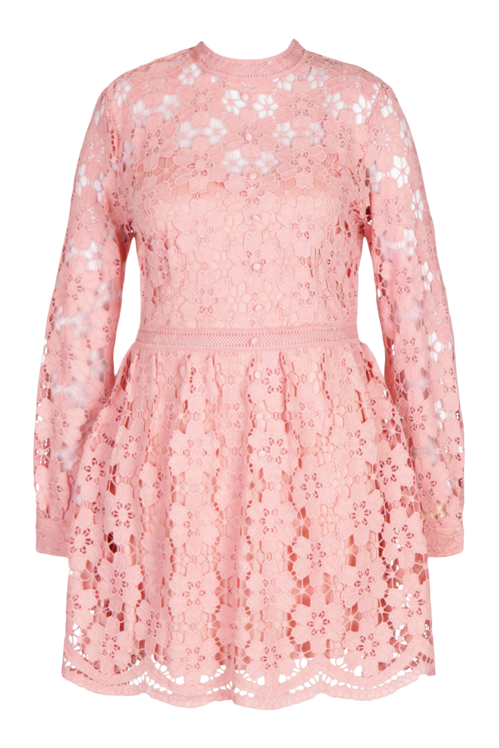 Plus Premium Guipure Lace Skater Dress | boohoo CA