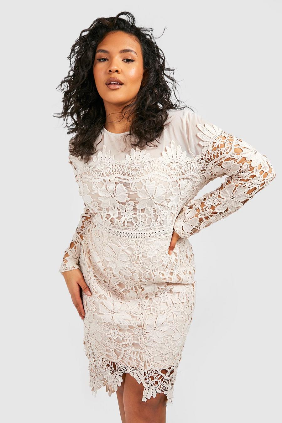 Cream white Plus Occasion Embroidered Floral Midi Dress image number 1