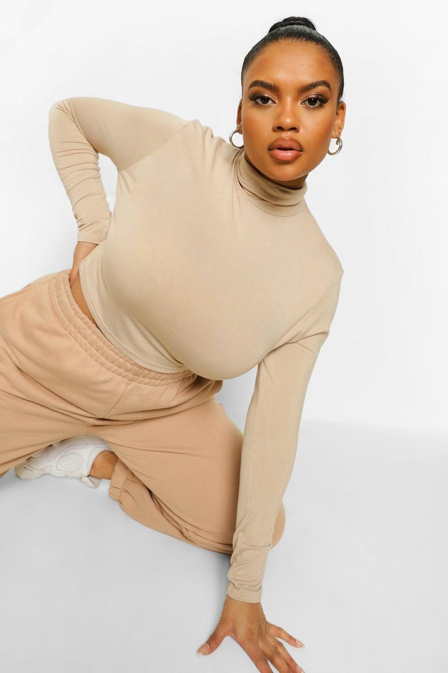 Stone Plus Roll Neck Crop Top image number 1