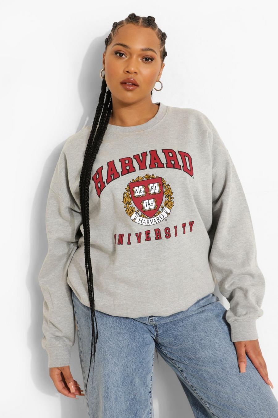 Grey Plus Harvard License Oversized Sweatshirt image number 1