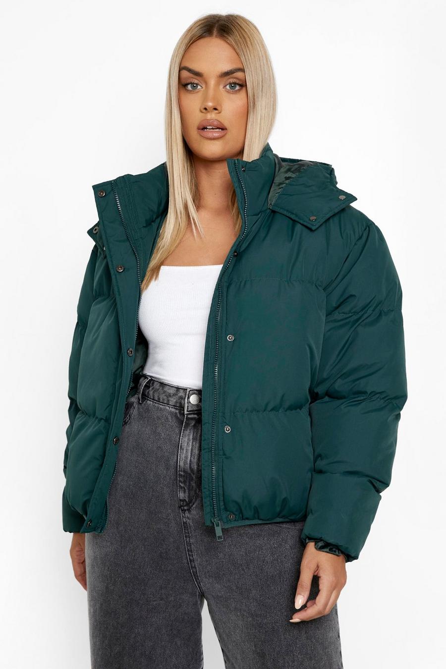 Teal Plus Hooded Padded Puffer Jacket image number 1