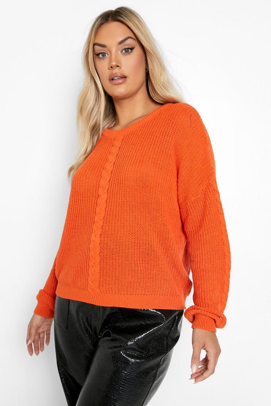 Rust Plus Cable Knit Jumper image number 1