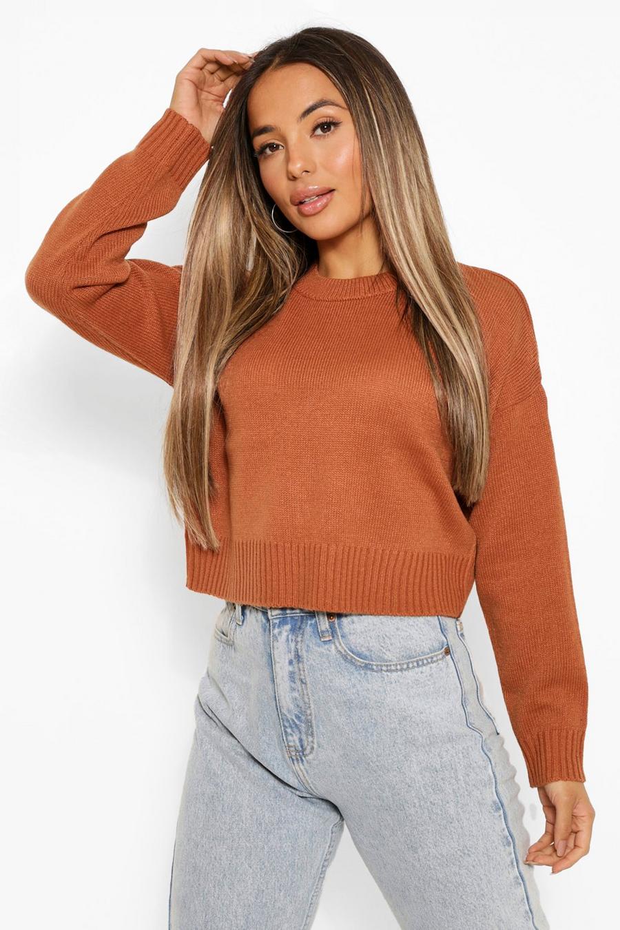 Chestnut Petite Round Neck Boxy Knitted Jumper image number 1