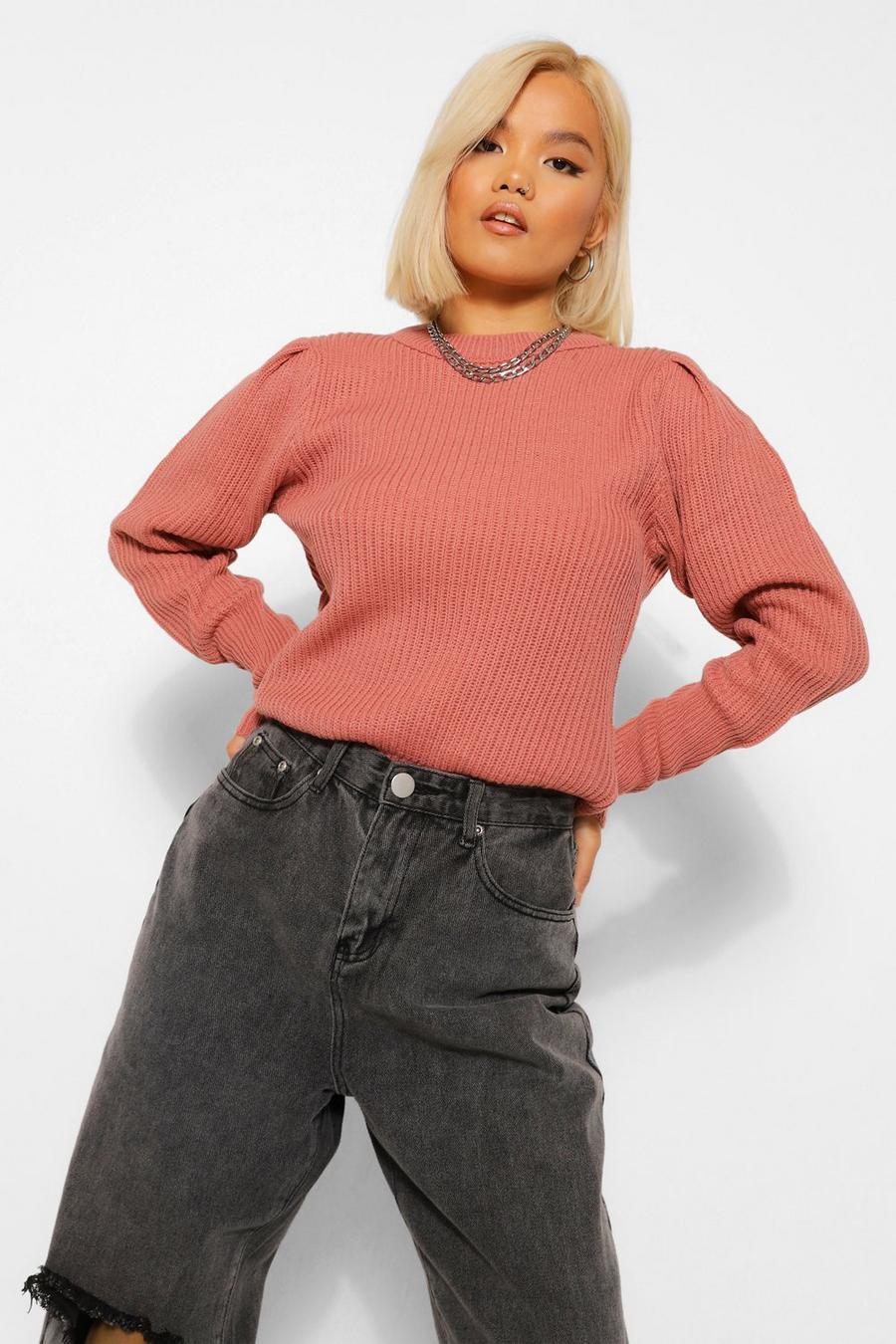 Rose Petite Crew Neck Knitted Jumper image number 1