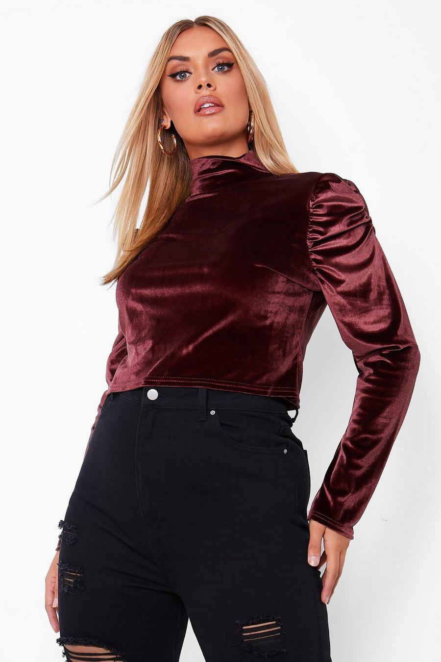 Chocolate Plus Velvet Ruched Puff Sleeve High Neck Top image number 1
