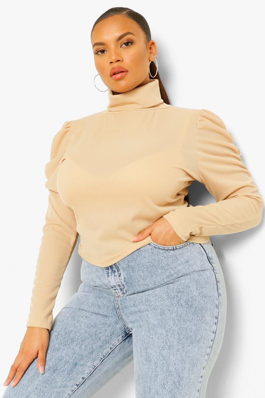 Stone Plus Ruched Sleeve High Neck Rib Crop Top image number 1