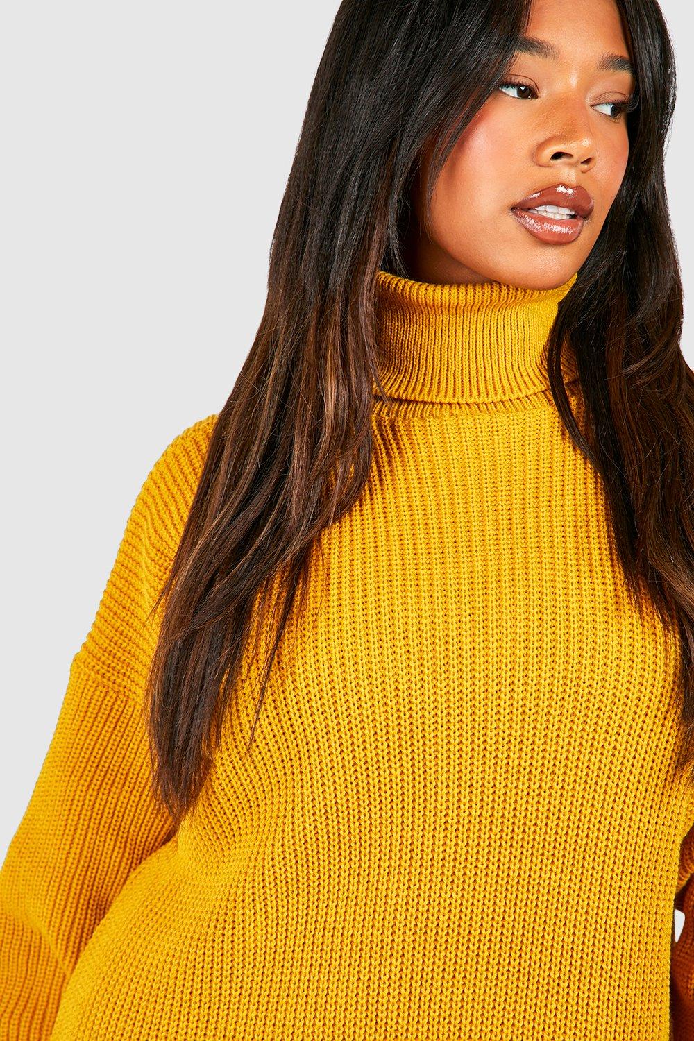 Plus Roll Neck Jumper Dress boohoo IL