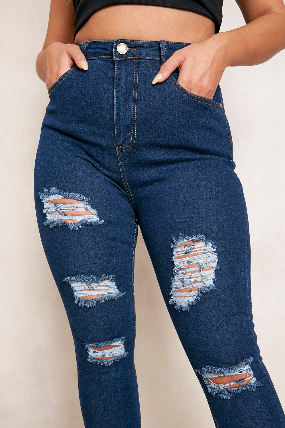 Plus Size Distressed Skinny Jeans - Medium / 1X