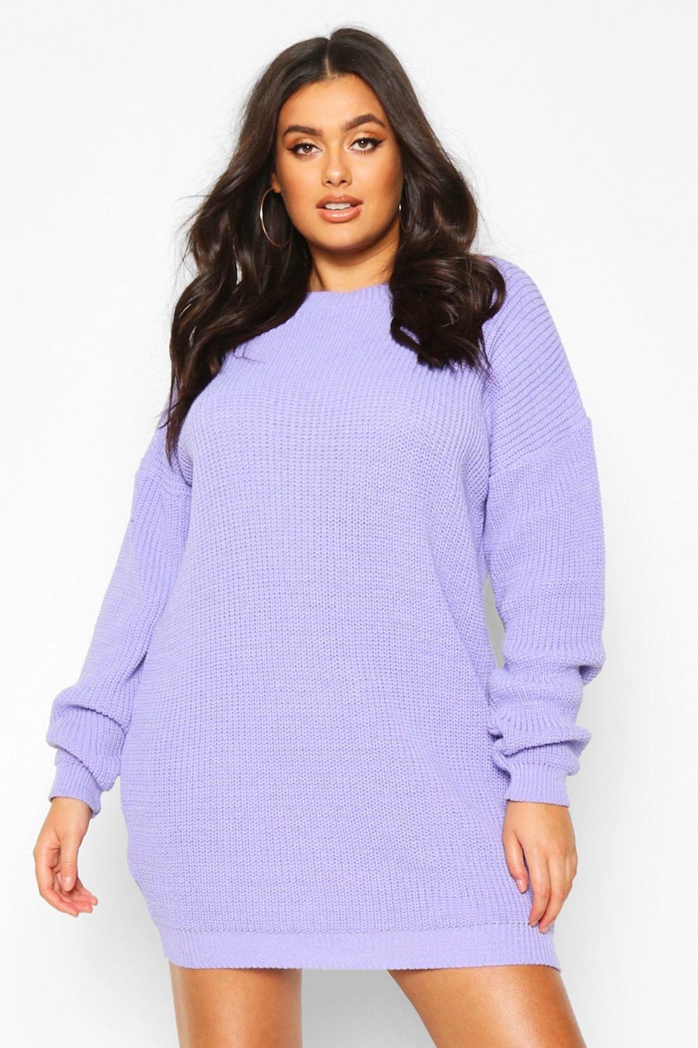 Plus Crew Neck Sweater Dress