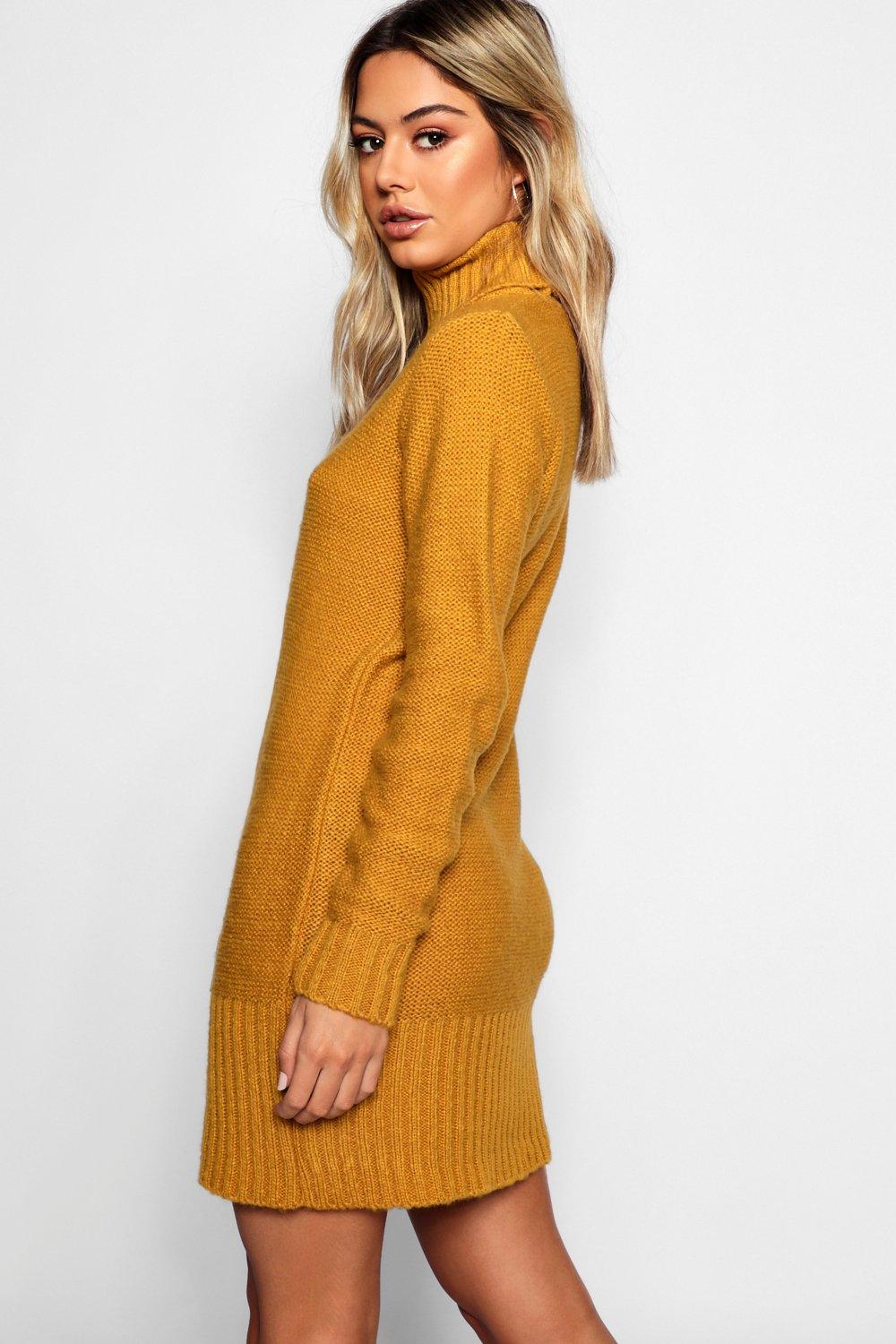 petite roll neck jumper dress