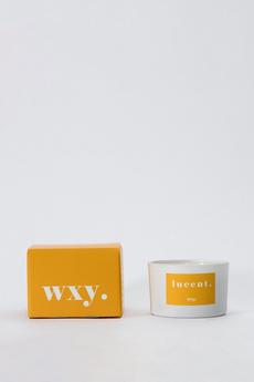 Wxy yellow Lucent - Sunshire & Cedar Mini Candle