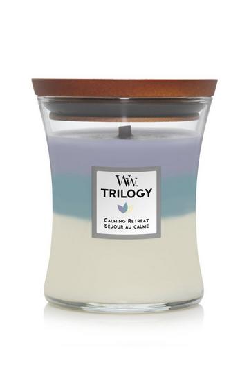 Trilogy Calming Retreat Medium Candle multi