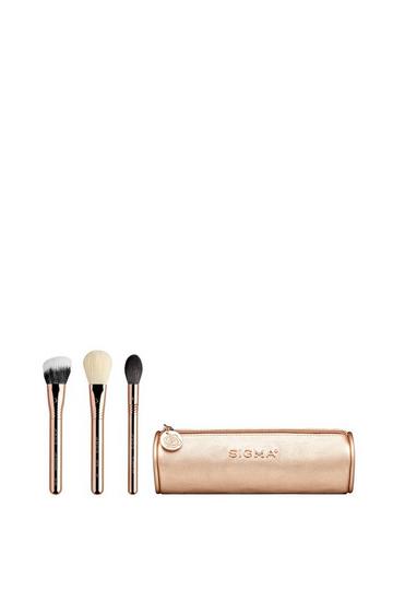 Rose Pink Bloom + Glow Brush Set