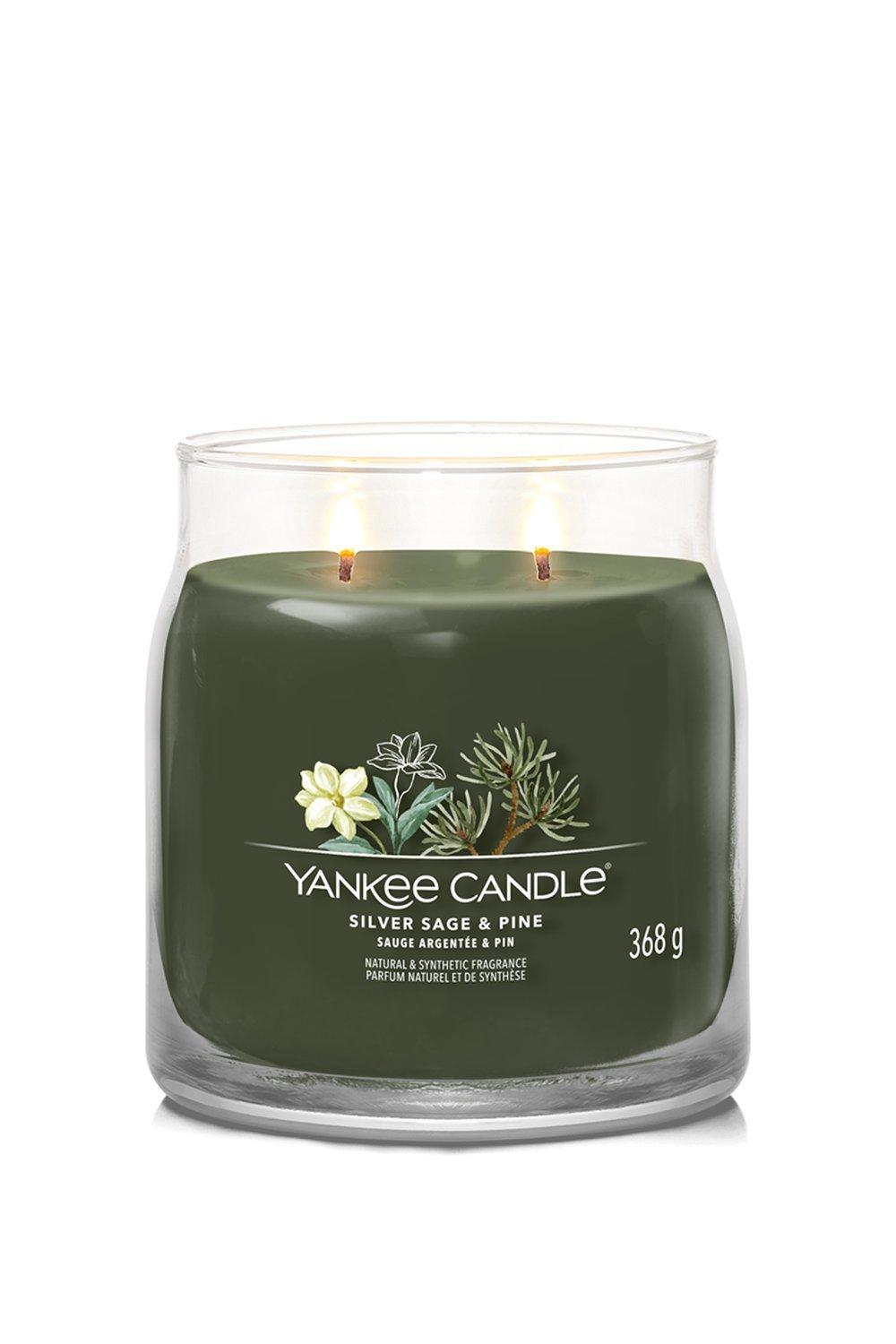 Home Fragrance | Silver Sage & Pine Signature Medium Jar Candle ...