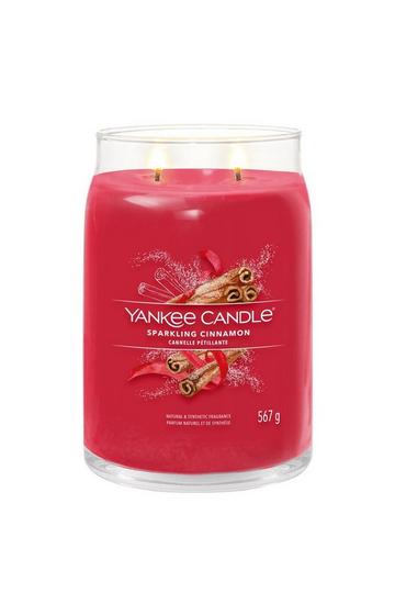 Sparkling Cinnamon Signature Large Jar Candle multi