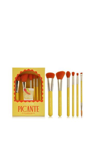 Picante 6 Piece Brush Set multi