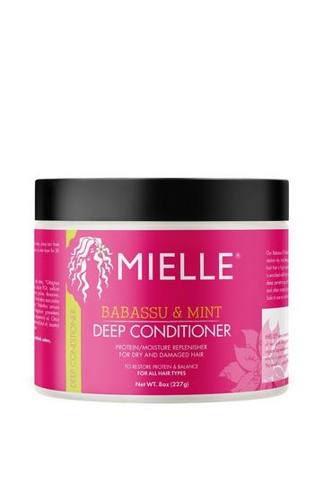 Babassu & Mint Deep Conditioner 227ml multi