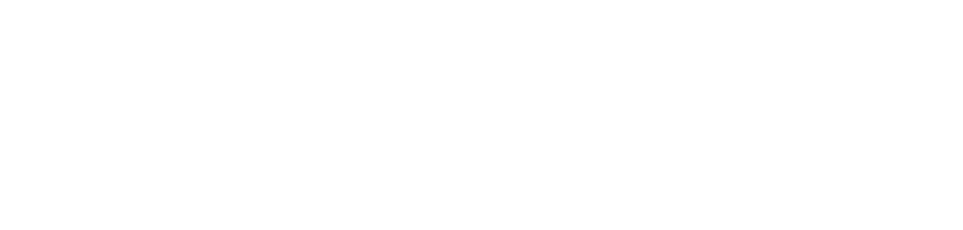 Premier Logo