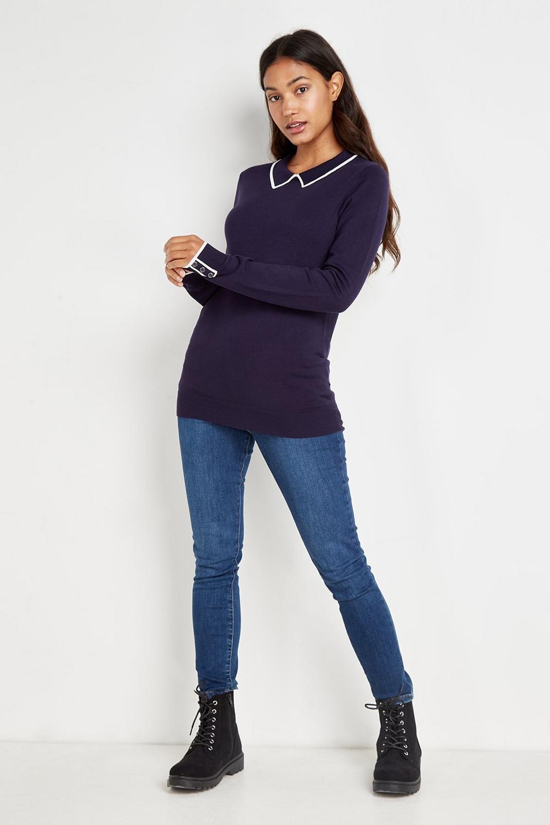 Navy Tall Tipped Collar Jumper image number 1