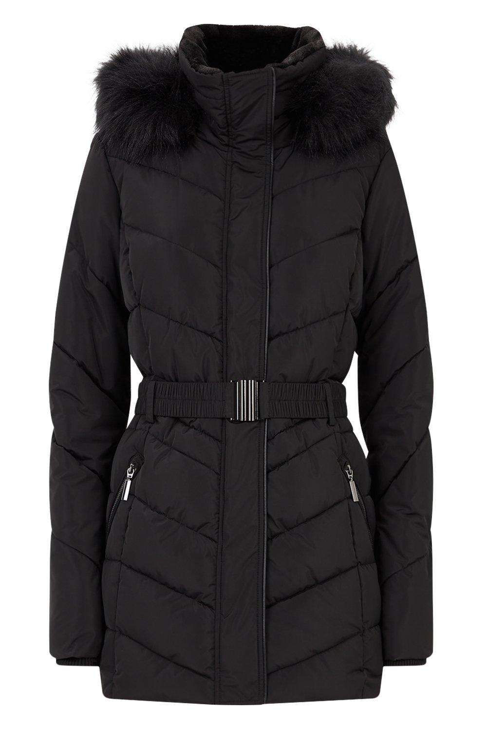 Wallis short shop padded coat