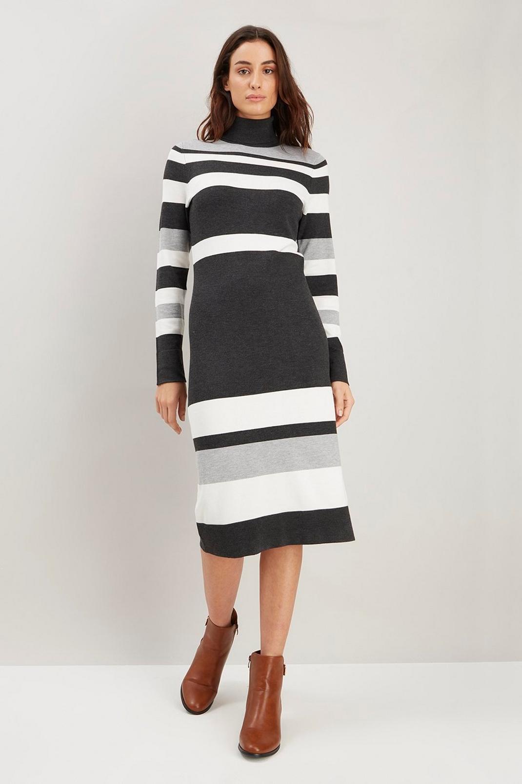131 Multi Stripe Polo Neck Knitted Dress image number 2