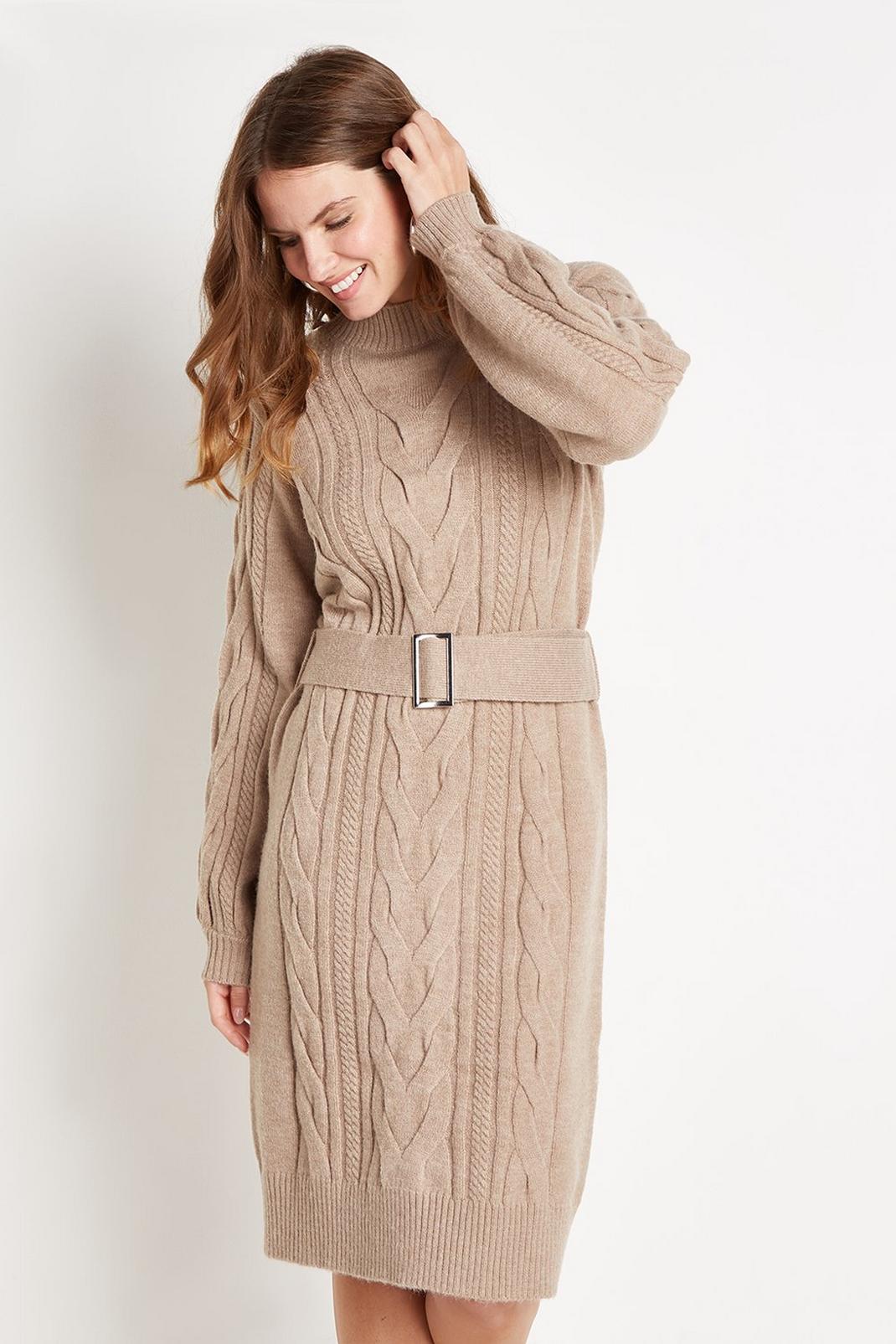 Neutral Cable Knitted Belted Dress image number 1