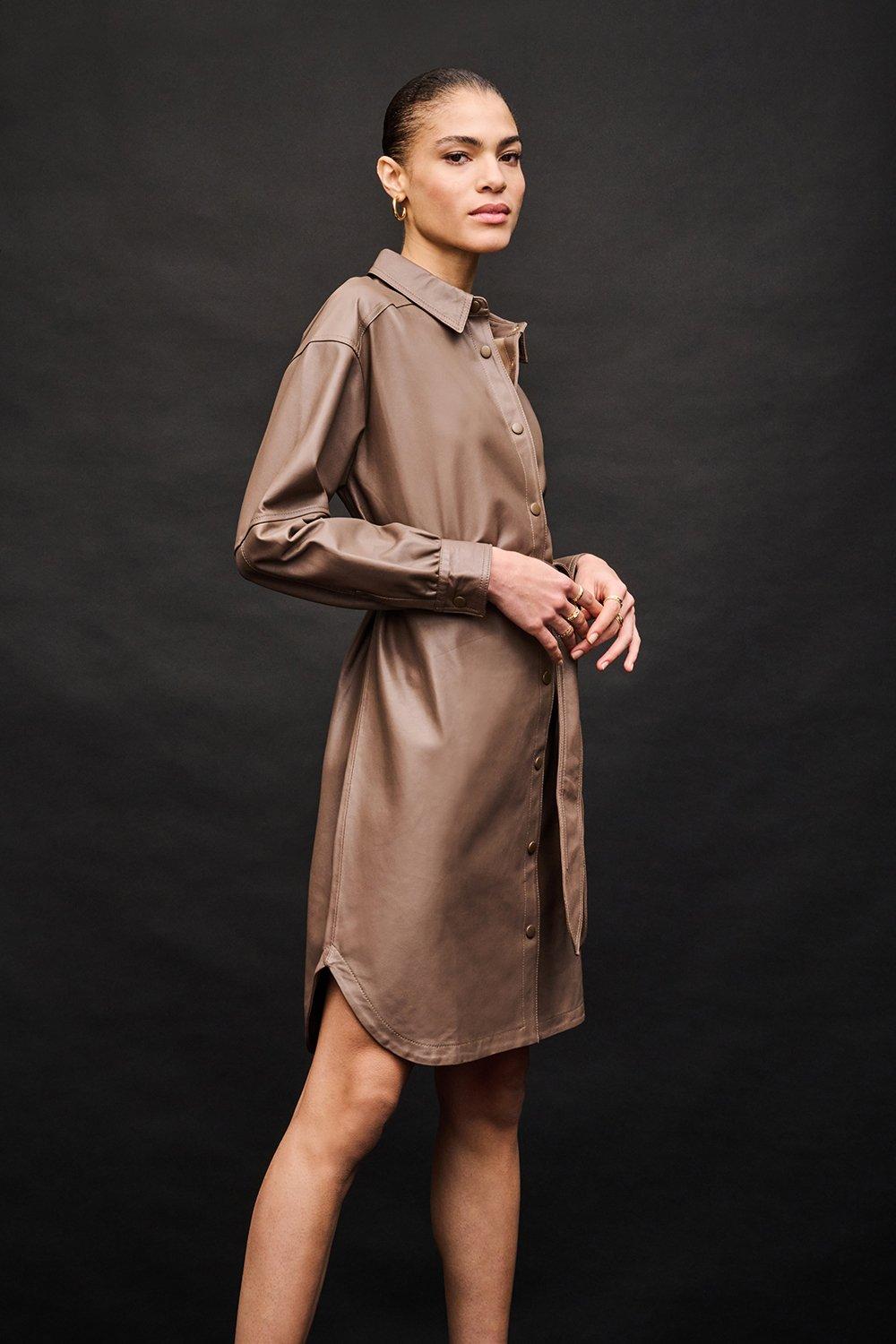 Wallis hotsell shirt dress