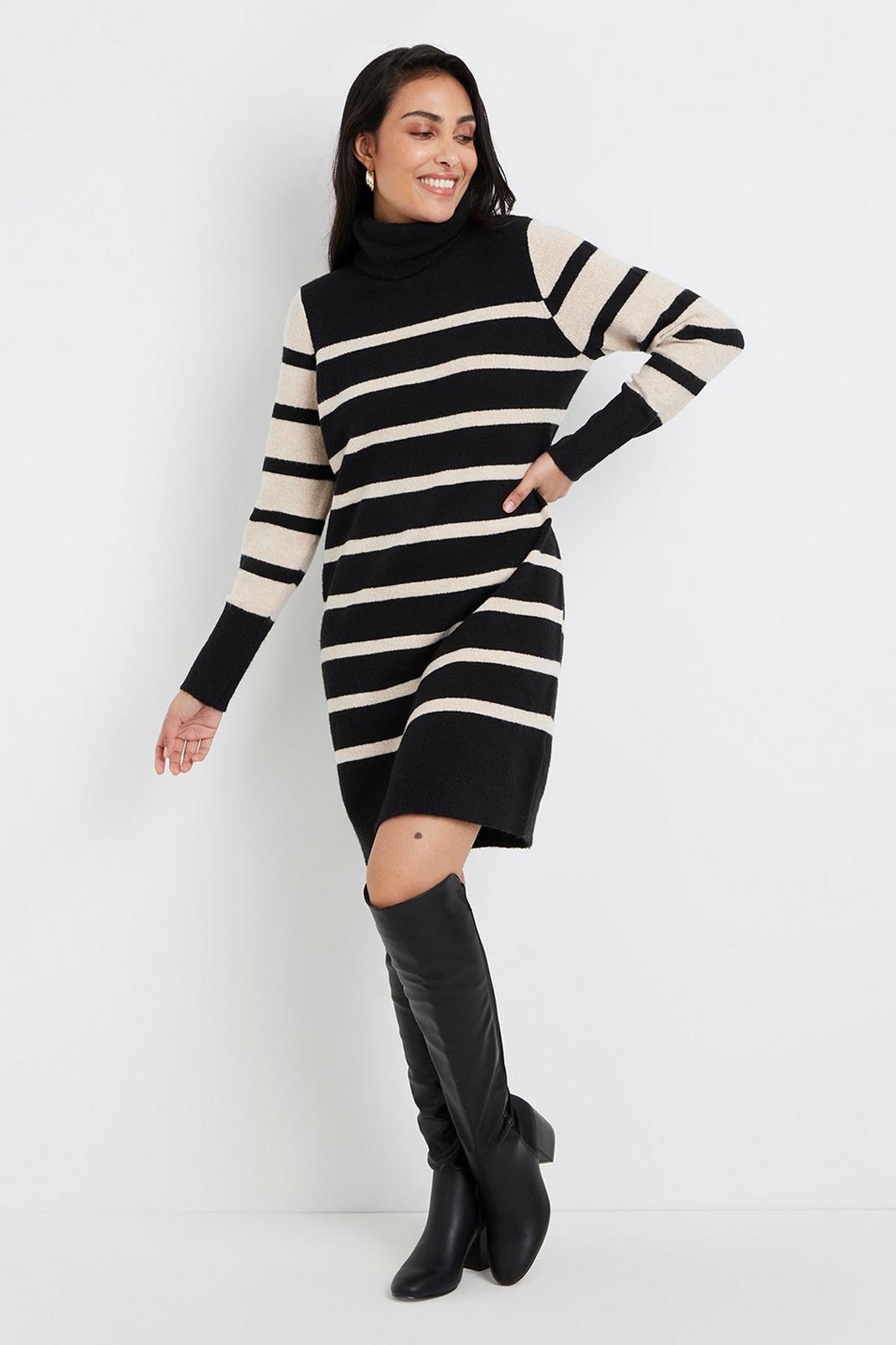 Black Petite Contrast Stripe Knitted Dress image number 1