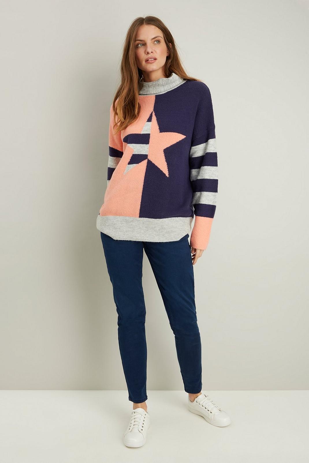 Navy Star And Stripe Roll Neck image number 1