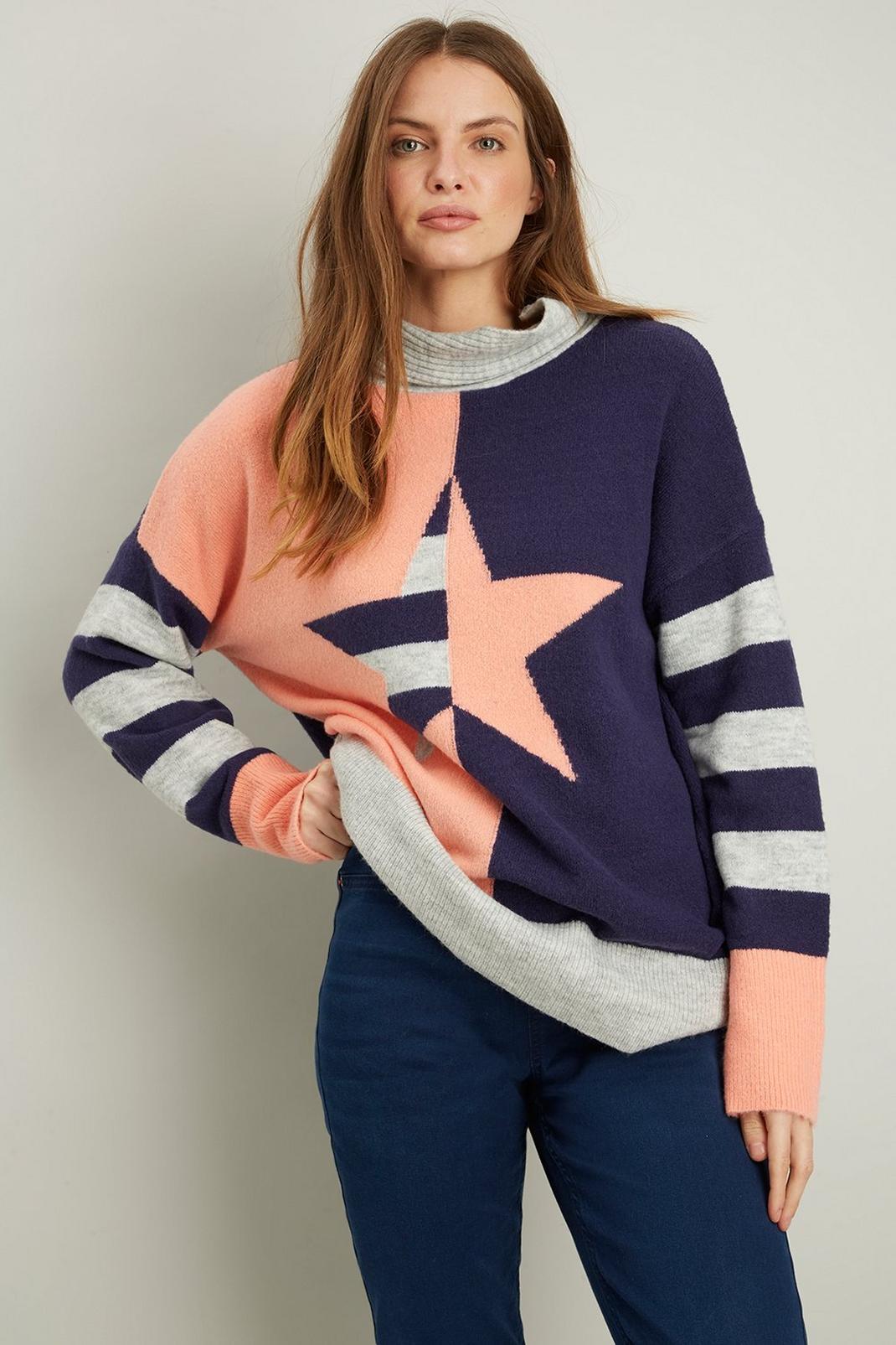 148 Star And Stripe Roll Neck image number 2