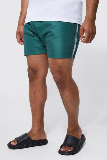 Plus Limited Edition Swim Shorts green