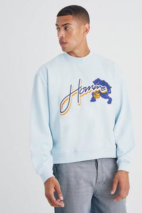 Oversized Ofcl Dove Graphic Sweatshirt