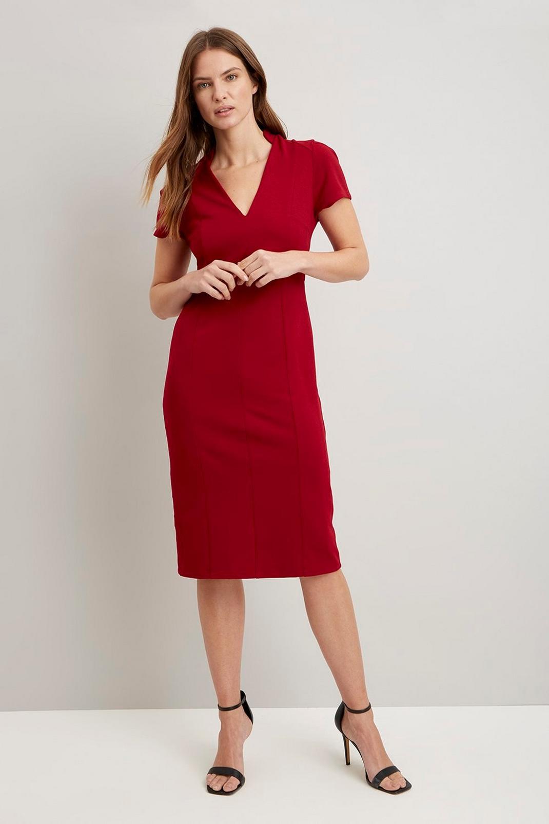 293 Bodycon Panel Dress image number 1