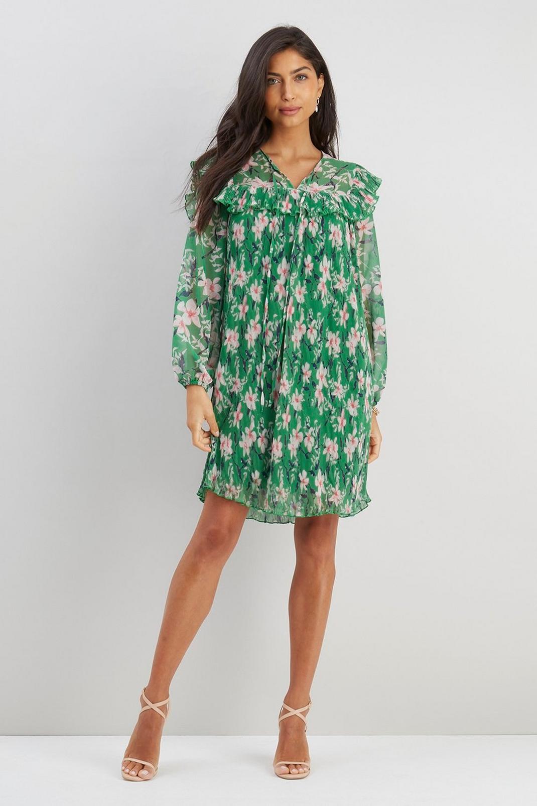 Green Floral Pleated Bib Dress image number 1