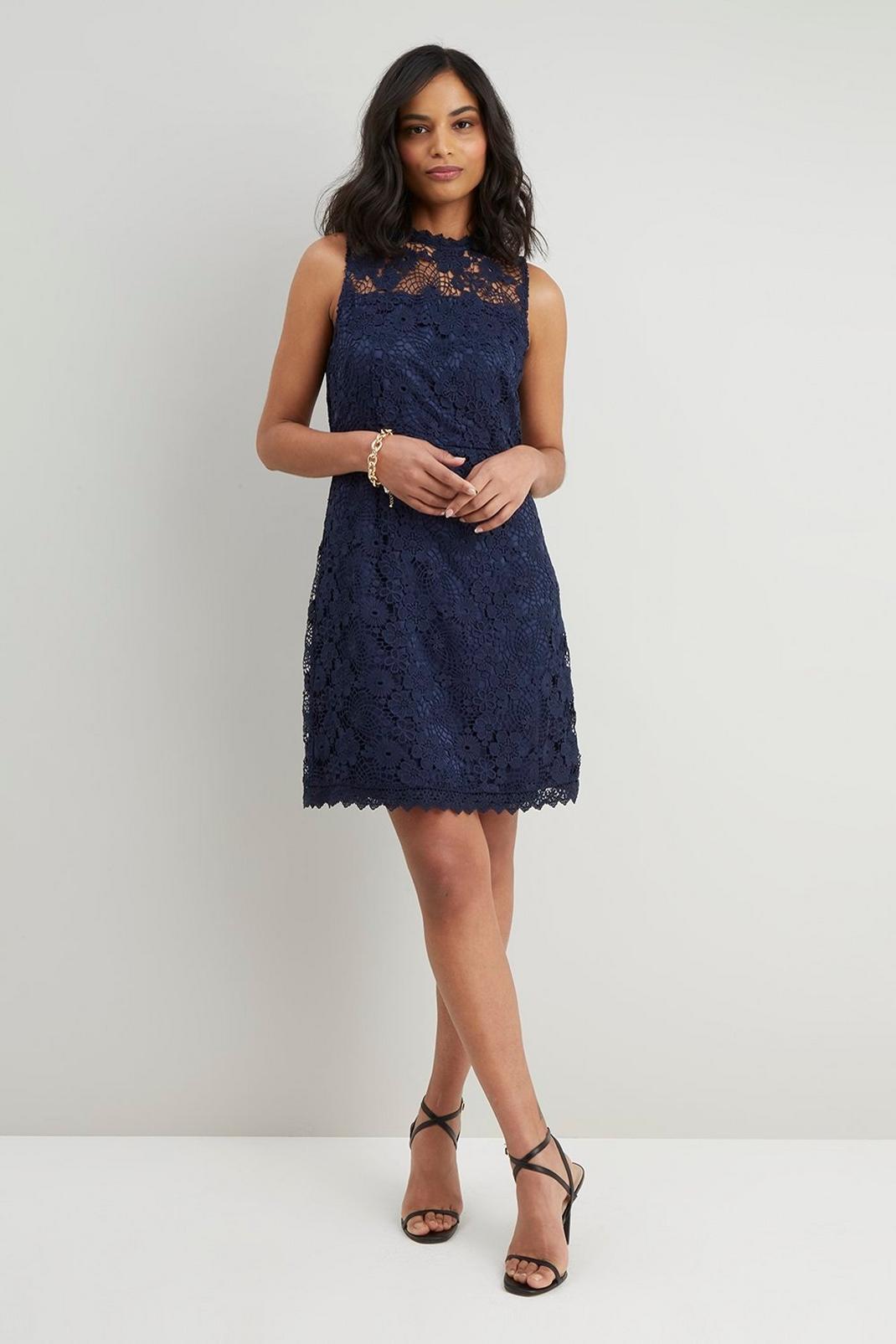 Navy Petite Lace Scalloped Shift Dress image number 1