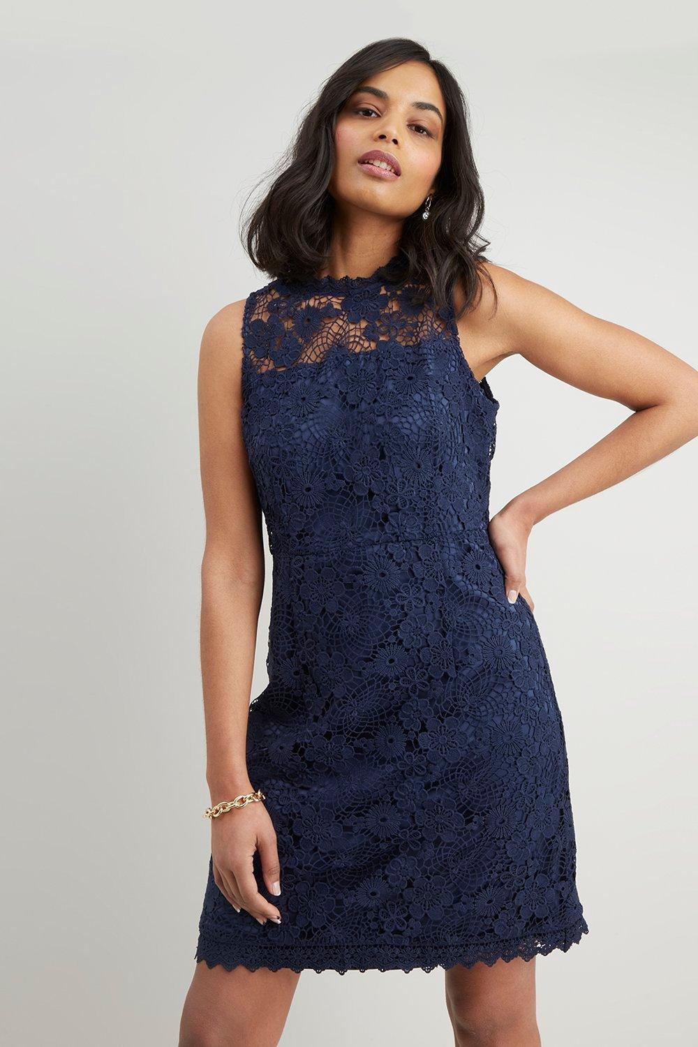 Petite lace shift dress store