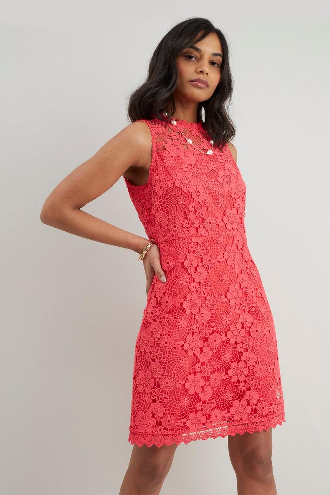 Pink Petite Lace Scalloped Shift Dress image number 1