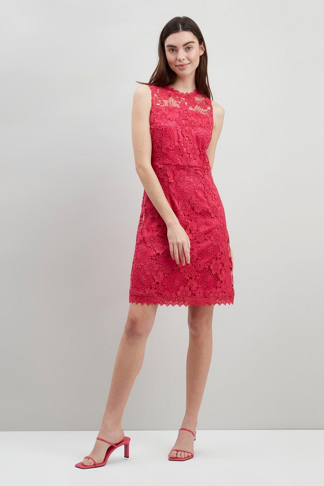 Pink Lace Scalloped Shift Dress image number 1
