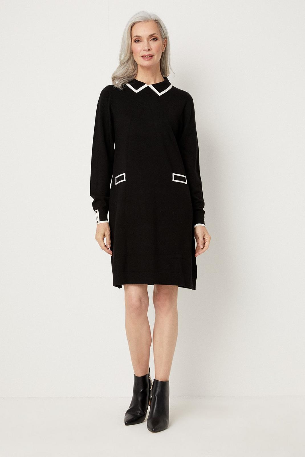 Black Tipped Collar Swing Dress image number 1