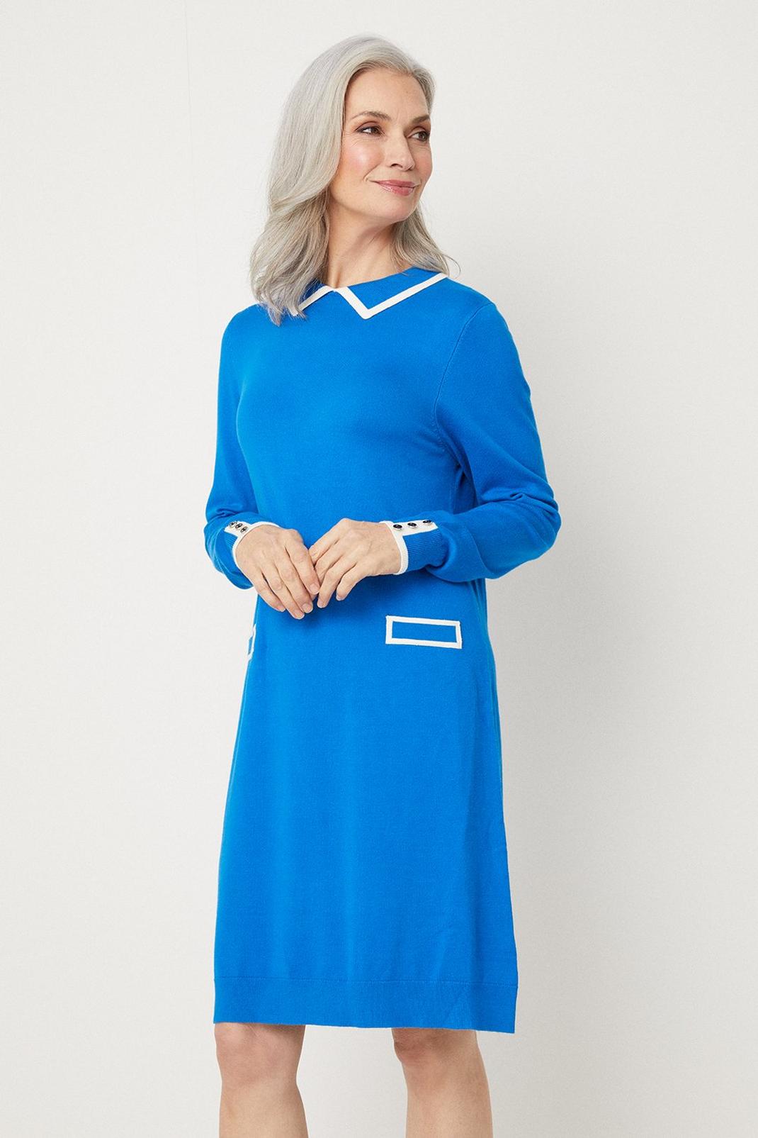 Blue Tipped Collar Swing Dress image number 1