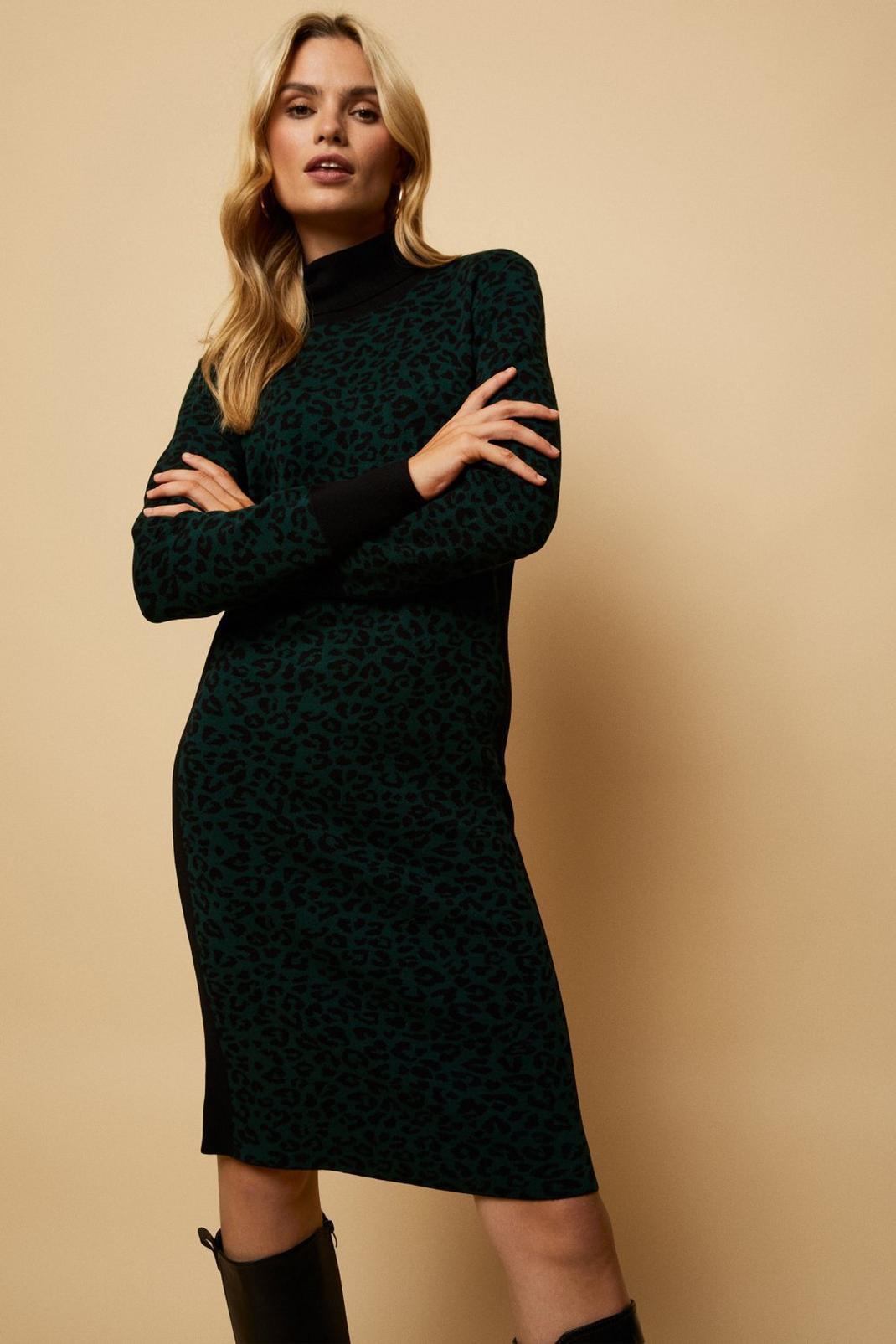 Forest Animal Block Panel Knitted Roll Neck Dress image number 1