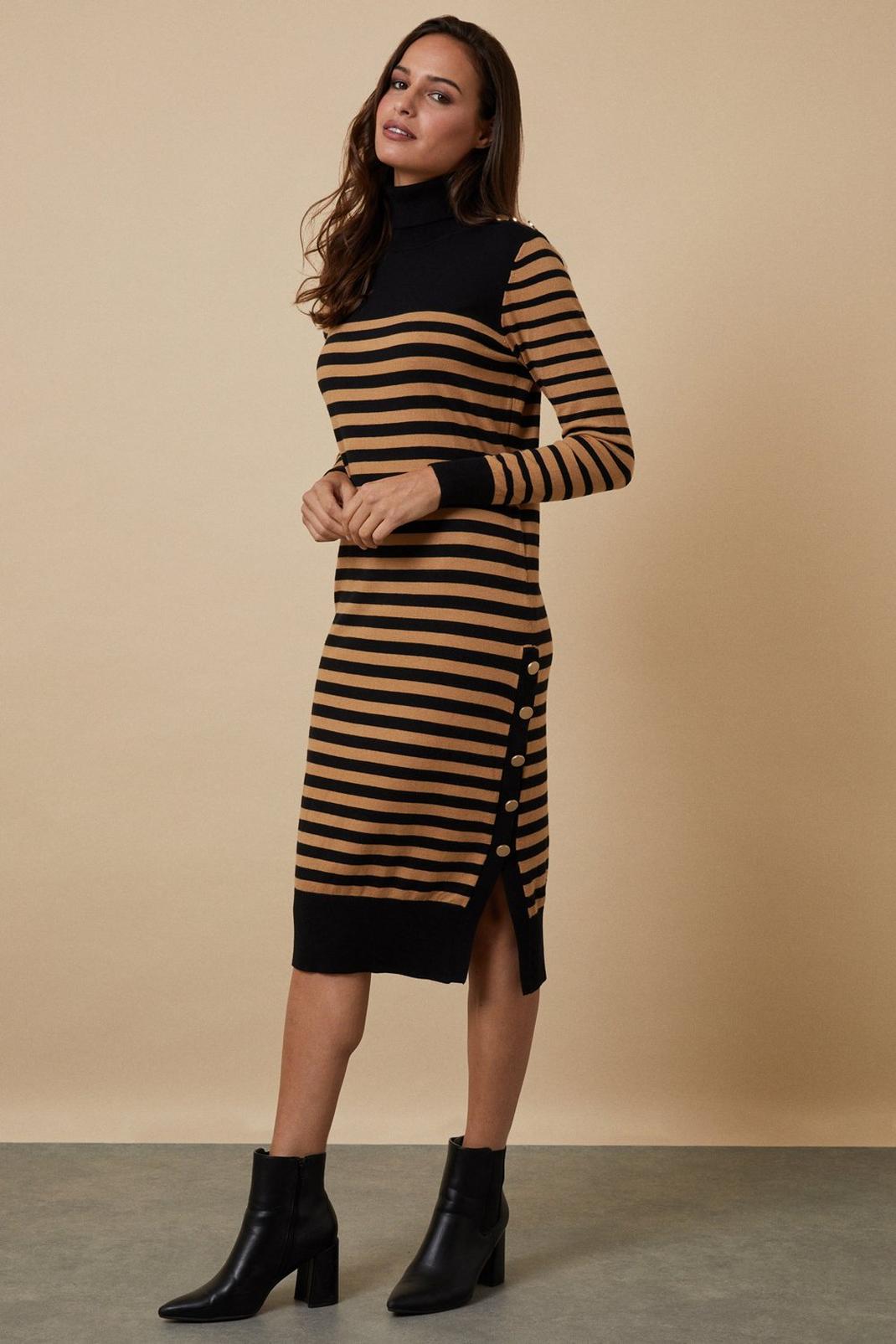 Camel Polo Neck Striped Knitted Button Detail Dress image number 1