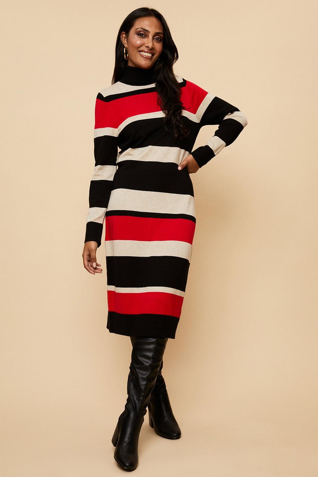 Petite Red Stripe Polo Neck Knitted Dress image number 1