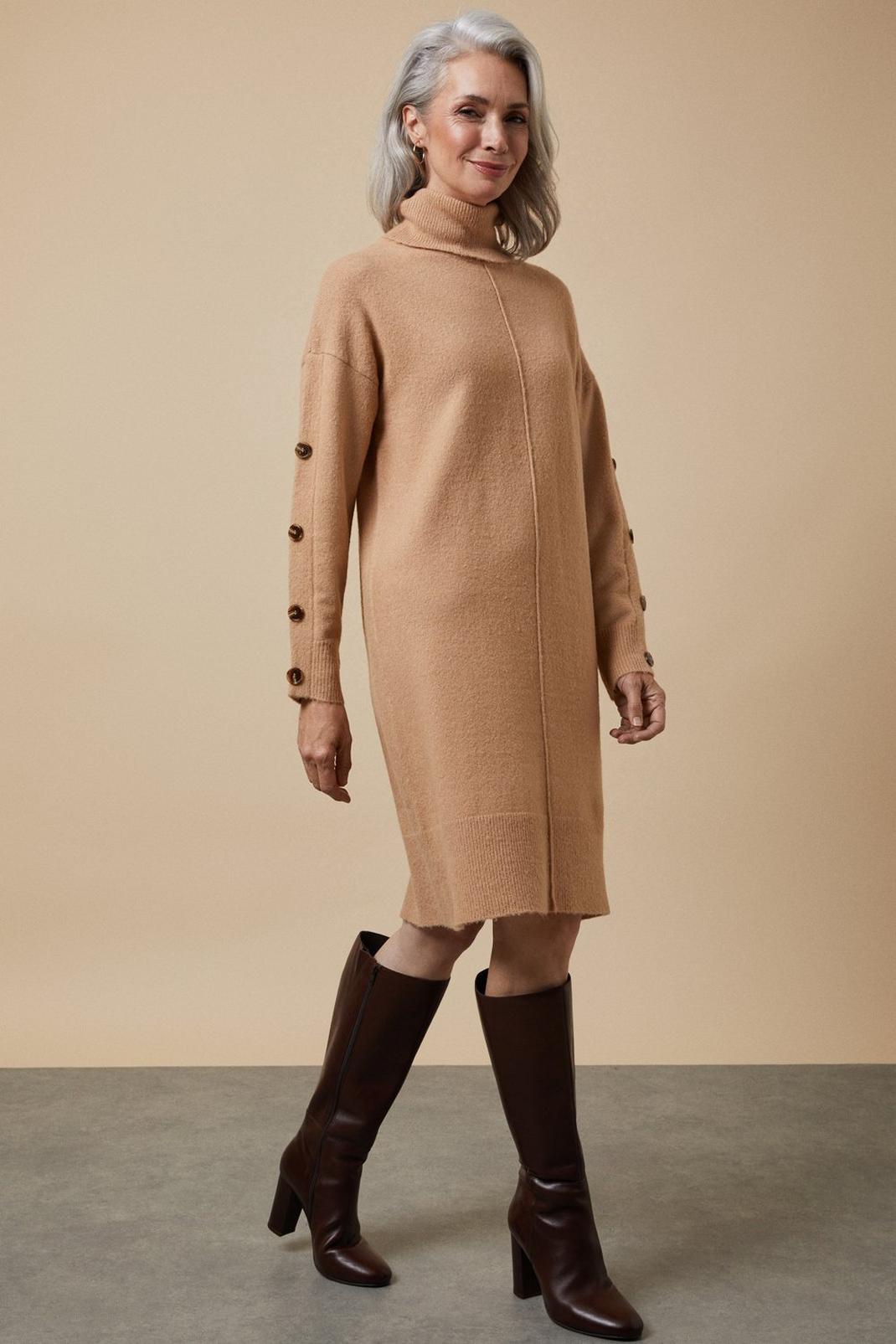 Mocha Cosy Knitted Seam Detail High Neck Dress image number 1
