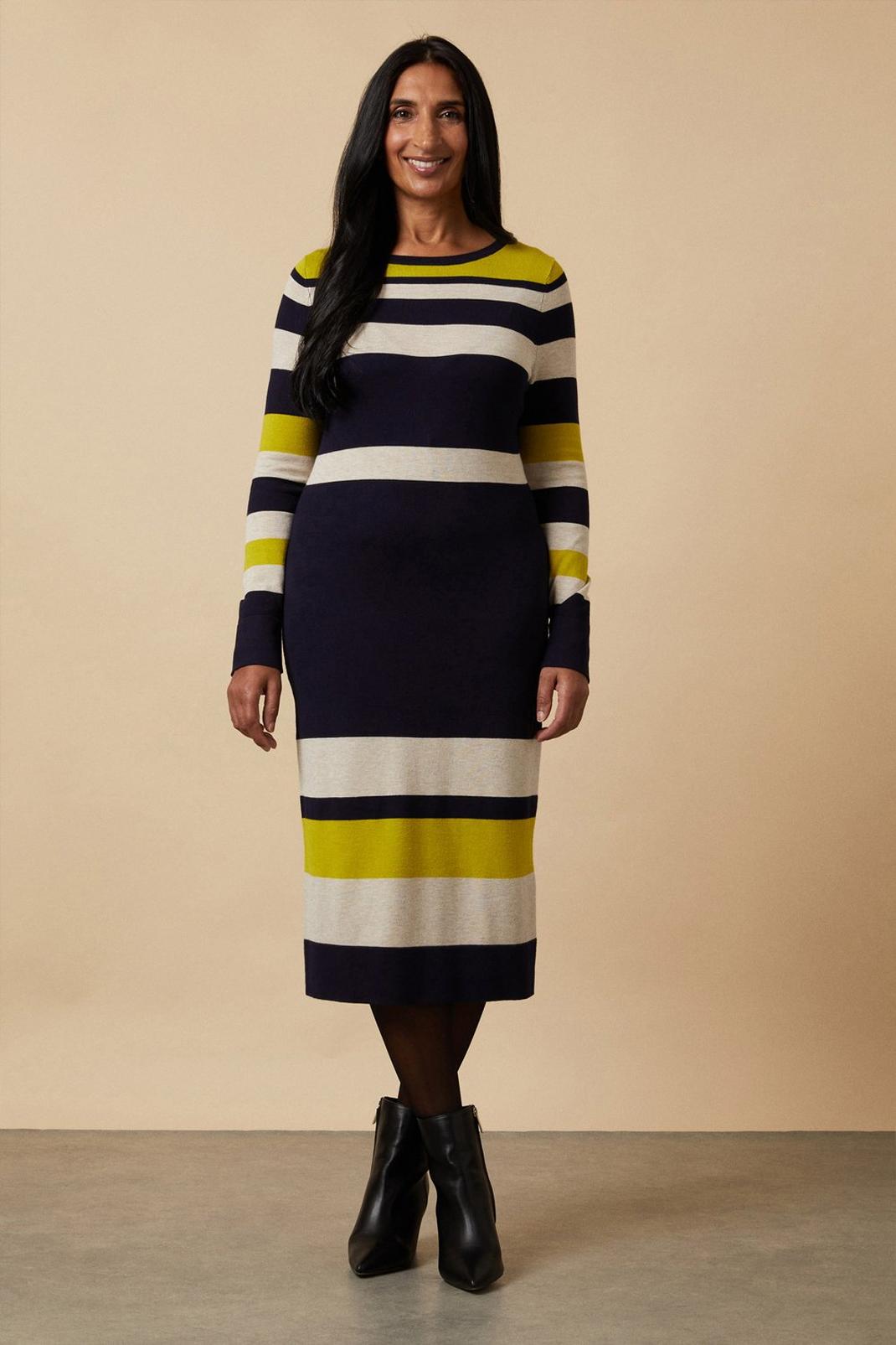 Ochre Multi Striped Crew Neck Knitted Dress image number 1
