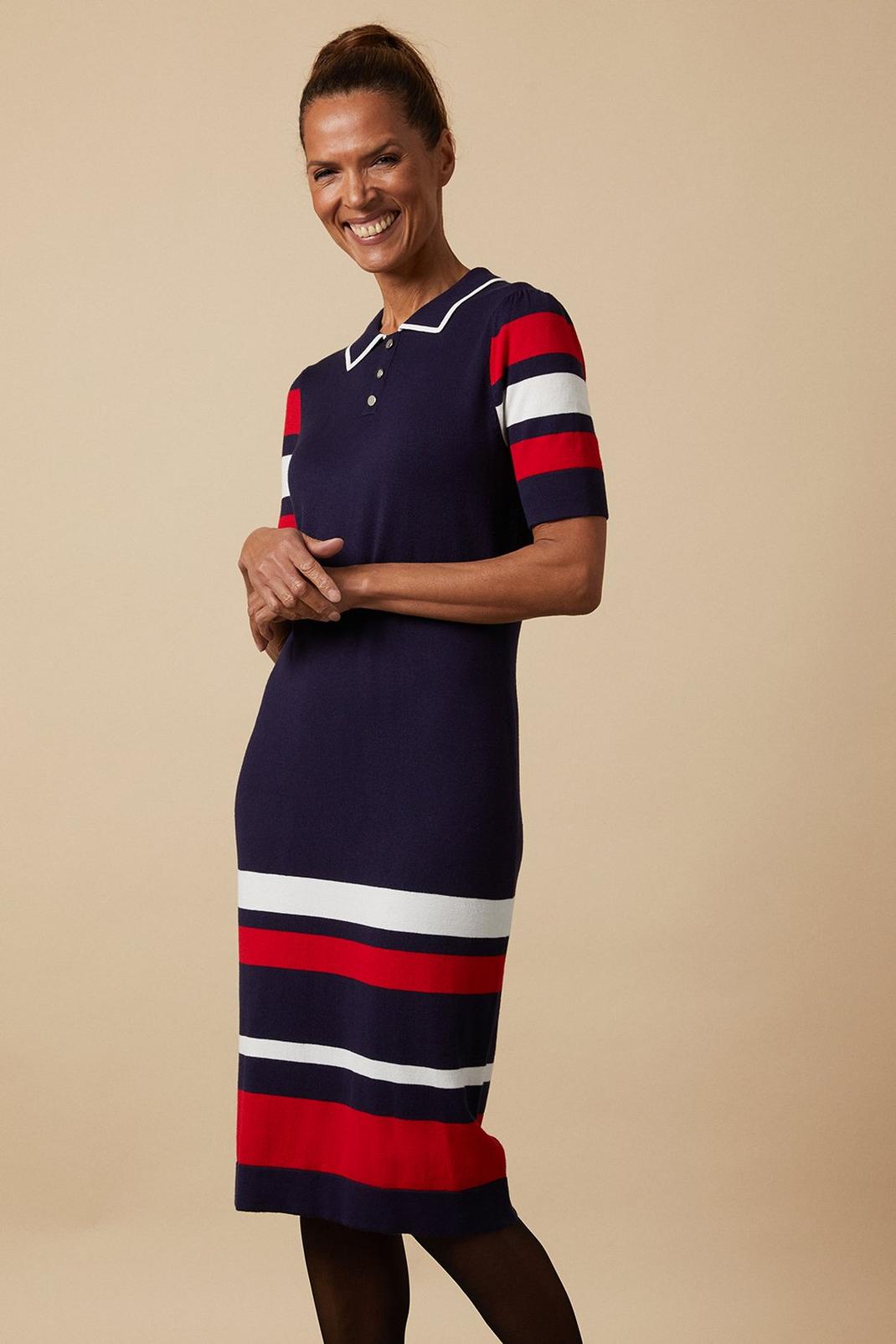 Navy Striped Collar Knitted Dress image number 1