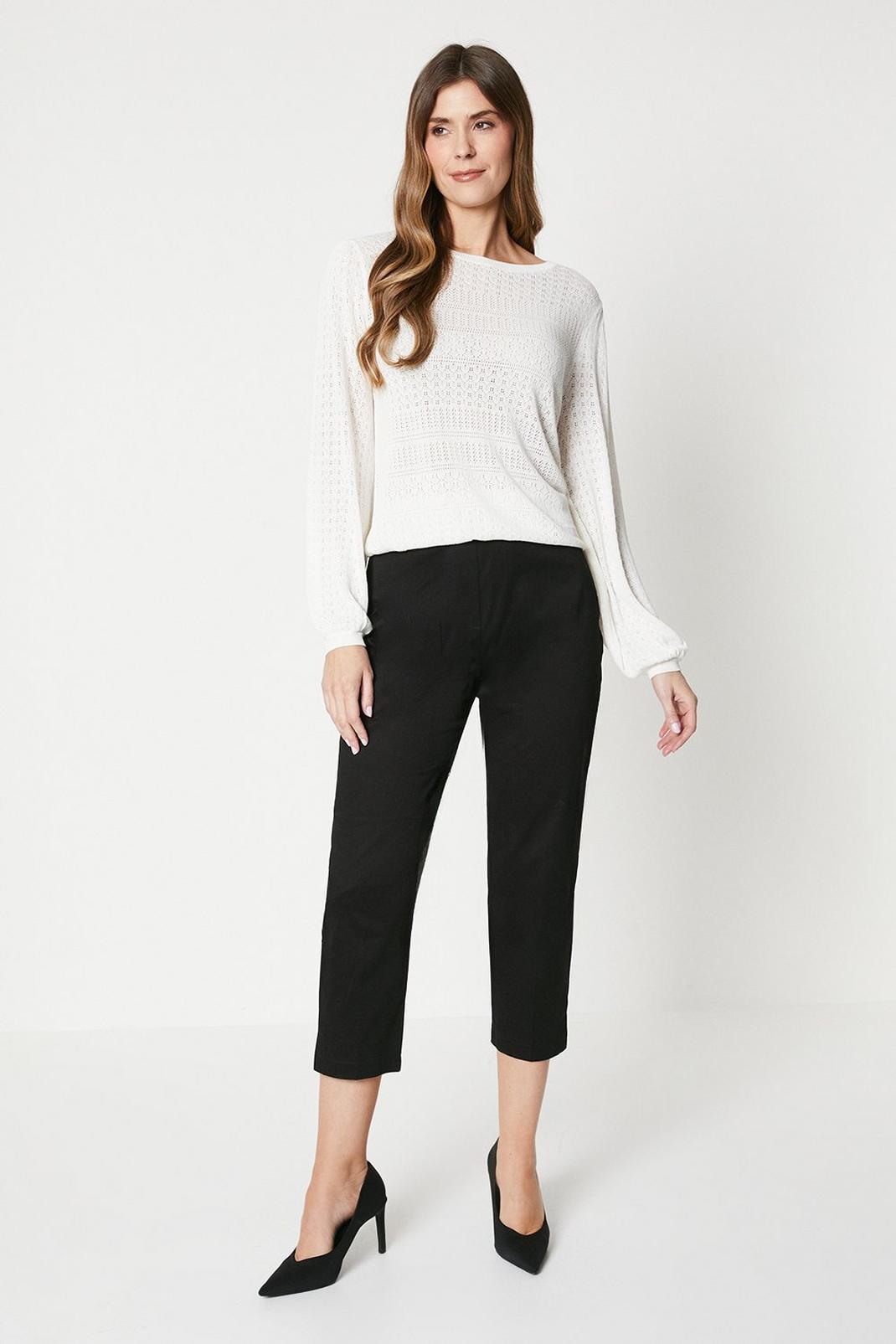 Black Side Zip Stretch Crop Trousers image number 1